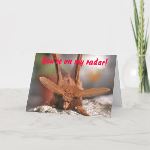 Cartes Pour Fêtes Annuelles Valentine Moth Antennae : Vous êtes sur mon radar 