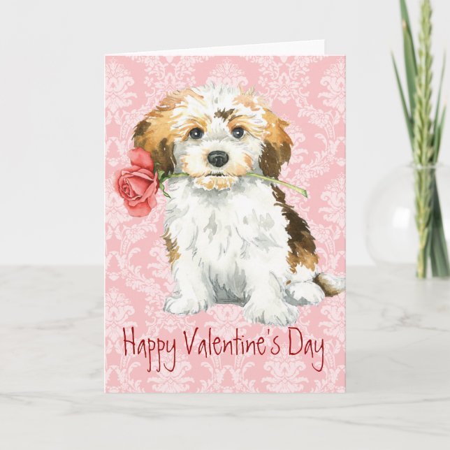 Cartes Pour Fêtes Annuelles Valentine Rose Havanais (Devant)