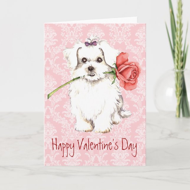Cartes Pour Fêtes Annuelles Valentine Rose maltais (Devant)