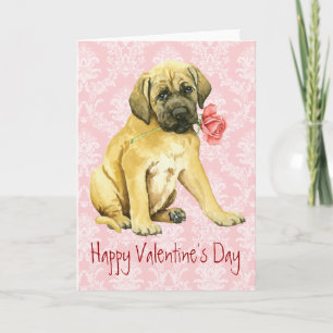 Cartes Pour Fêtes Annuelles Valentine Rose Mastiff