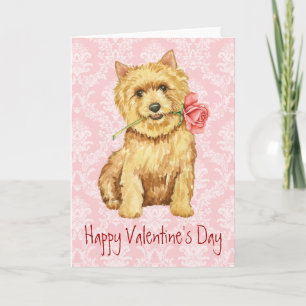 Cartes Pour Fêtes Annuelles Valentine Rose Norwich Terrier