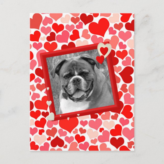 Cartes Pour Fêtes Annuelles Valentines Boxer Chien Coeurs (Devant)
