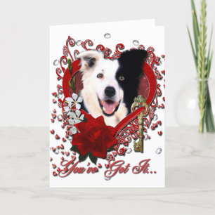 Cartes Pour Fêtes Annuelles Valentines - clé à mon coeur - border collie