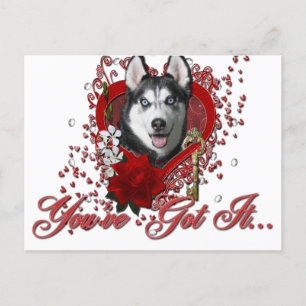 Cartes Pour Fêtes Annuelles Valentines - clé à mon coeur - chien de traîneau