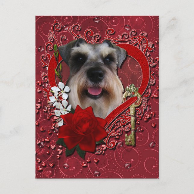 Cartes Pour Fêtes Annuelles Valentines - clé à mon coeur - Schnauzer (Devant)