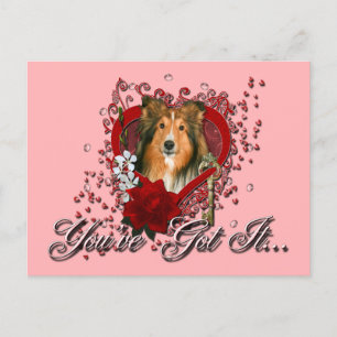 Cartes Pour Fêtes Annuelles Valentines - clé à mon coeur - Sheltie