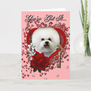 Cartes Pour Fêtes Annuelles Valentines - Clé de mon coeur - Bichon Frise