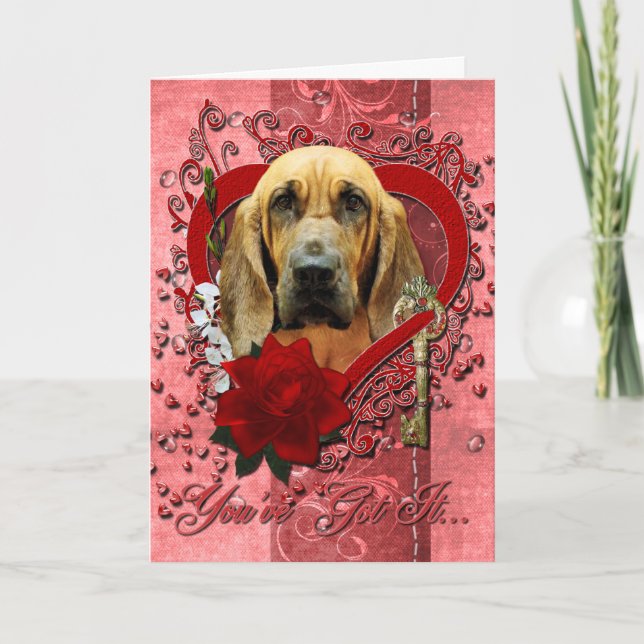Cartes Pour Fêtes Annuelles Valentines - Clé de mon coeur - Bloodhound - Penne (Devant)