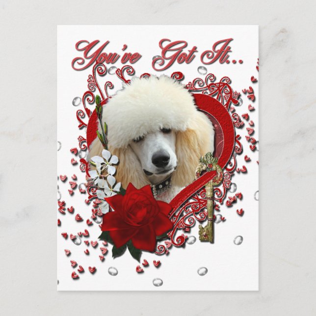 Cartes Pour Fêtes Annuelles Valentines - Clé de mon coeur - Poodle - Apricot (Devant)