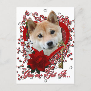 Cartes Pour Fêtes Annuelles Valentines - Clé de mon coeur - Shiba Inu