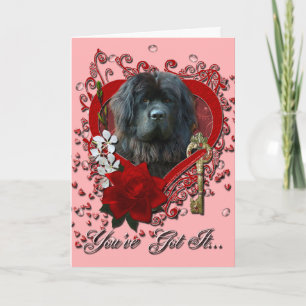 Cartes Pour Fêtes Annuelles Valentines - clé de mon coeur - Terre-Neuve