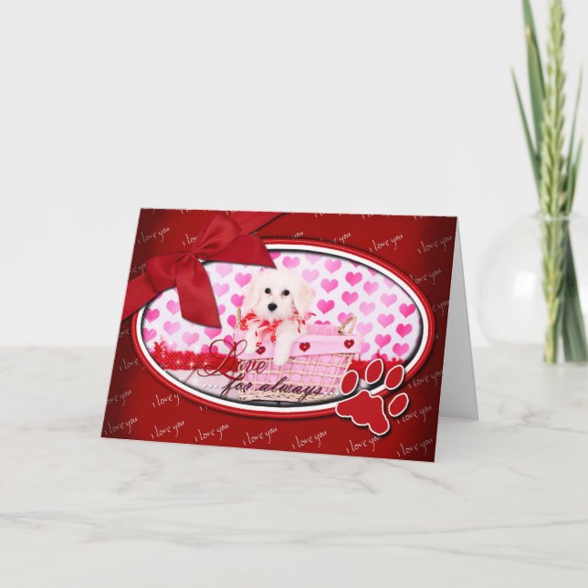 Cartes Pour Fêtes Annuelles Valentines - coton de Tulear - Sophie (Devant)