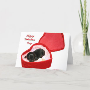 Cartes Pour Fêtes Annuelles Valentines Day Doxie