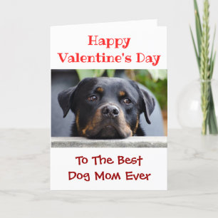Cartes Pour Fêtes Annuelles Valentines Day Meilleur Chien Maman Jamais Animal 