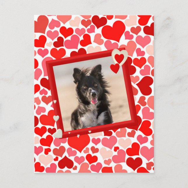 Cartes Pour Fêtes Annuelles Valentines Frontière Collie Coeurs de chien (Devant)