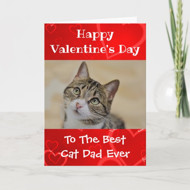 Cartes Pour Fêtes Annuelles Valentines Jour Mondes Meilleur Chat Papa Jamais P (Devant)