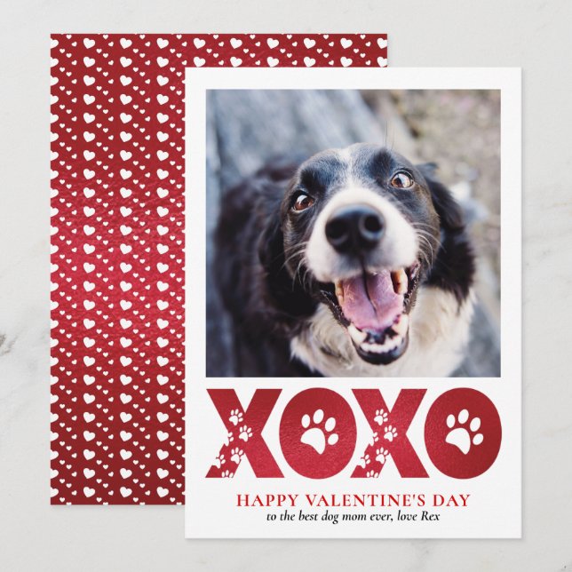 Cartes Pour Fêtes Annuelles Valentines Jour XOXO Photo pour chien de compagnie (Devant / Derrière)