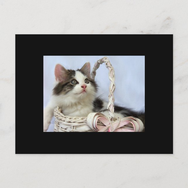 Cartes Pour Fêtes Annuelles Valentine's Kitten (Devant)