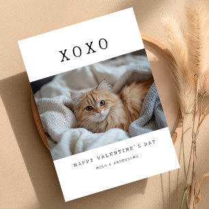 Cartes Pour Fêtes Annuelles Valentines photo XOXO Simple Rétro Chat Kitten