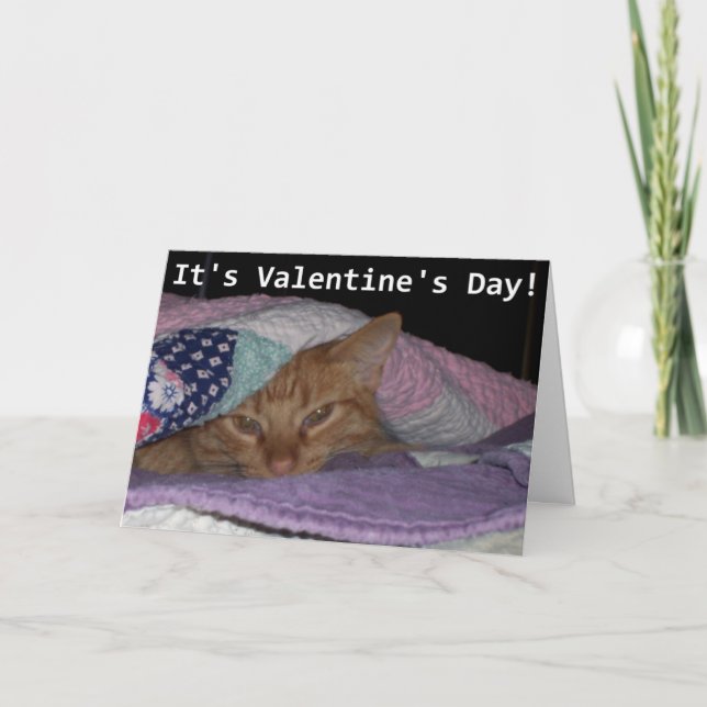Cartes Pour Fêtes Annuelles Venez Snuggle Cat Valentine (Devant)