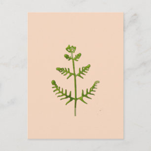 Cartes Pour Fêtes Annuelles vert de printemps