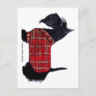 Cartes Pour Fêtes Annuelles Veste Scottie Holiday