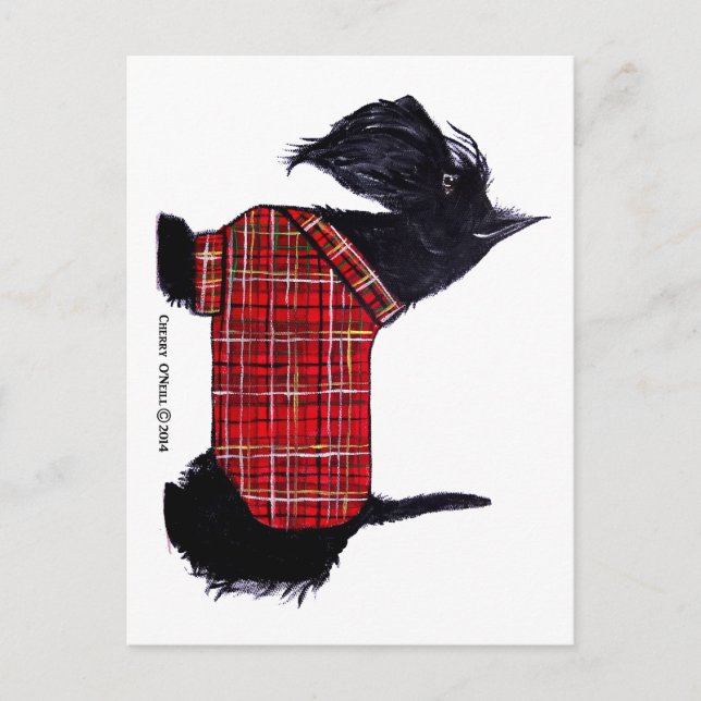 Cartes Pour Fêtes Annuelles Veste Scottie Holiday (Devant)