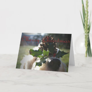 Cartes Pour Fêtes Annuelles Vieux Noël de Sheepdog