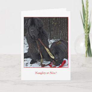 Cartes Pour Fêtes Annuelles Vilain ou Nice ?