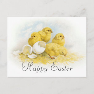 Cartes Pour Fêtes Annuelles Vintage Baby Chickens