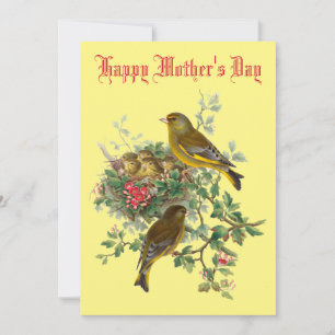 Cartes Pour Fêtes Annuelles Vintage Bébé Oiseaux Nest Fête des mères