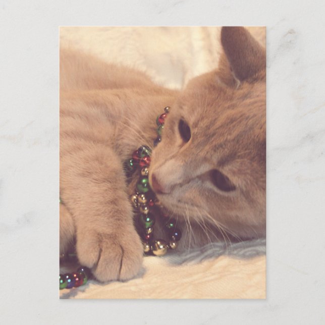 Cartes Pour Fêtes Annuelles Vintage Christmas Kitty (Devant)