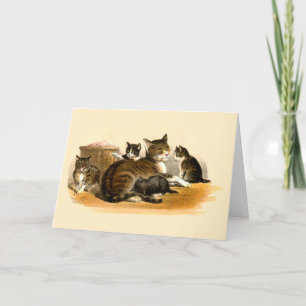 Cartes Pour Fêtes Annuelles Vintage Mère Chat & Chatons Fête des Mères