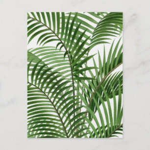 Cartes Pour Fêtes Annuelles Vintage Retro Aquarelle Palm Tree Feuilles