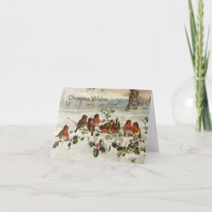 Cartes Pour Fêtes Annuelles Vintage - Robins rouges à Noël,