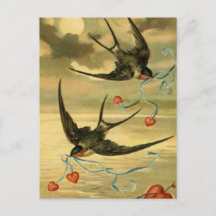 Cartes Pour Fêtes Annuelles Vintage Valentine Grandes hirondelles avec les coe