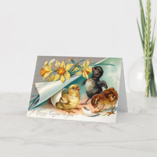 Cartes Pour Fêtes Annuelles Vintages poussins aux fleurs jaunes Salutation de 