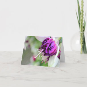 Cartes Pour Fêtes Annuelles Violet à peine Fuchsia