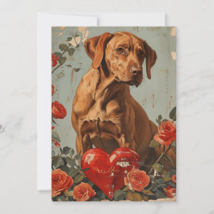 Cartes Pour Fêtes Annuelles Vizsla Saint Valentin Vintage