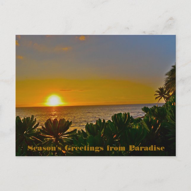Cartes Pour Fêtes Annuelles Vœux de la part du Paradis sur Terre (Devant)