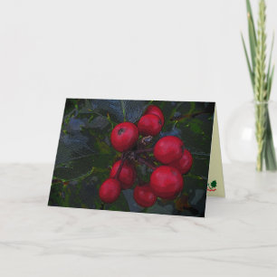 Cartes Pour Fêtes Annuelles Vœux de la saison des baies de houx