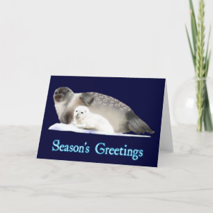 Cartes Pour Fêtes Annuelles Vœux de la saison - Phoque annelé