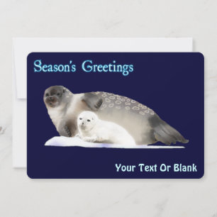 Cartes Pour Fêtes Annuelles Vœux de la saison - Phoque annelé