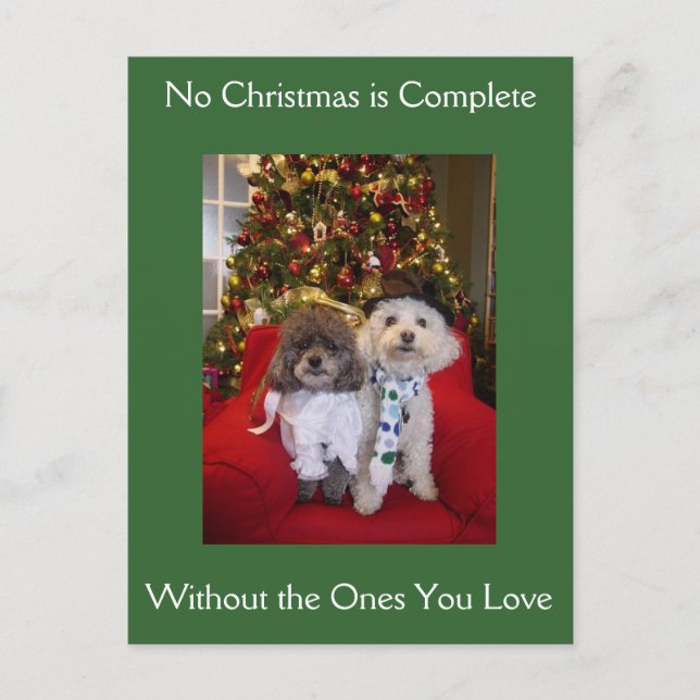 Cartes Pour Fêtes Annuelles Voeux de Noël des canicules (Devant)