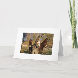 Cartes Pour Fêtes Annuelles Voisins fouineurs