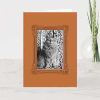 Cartes Pour Fêtes Annuelles Vous êtes fantaisie