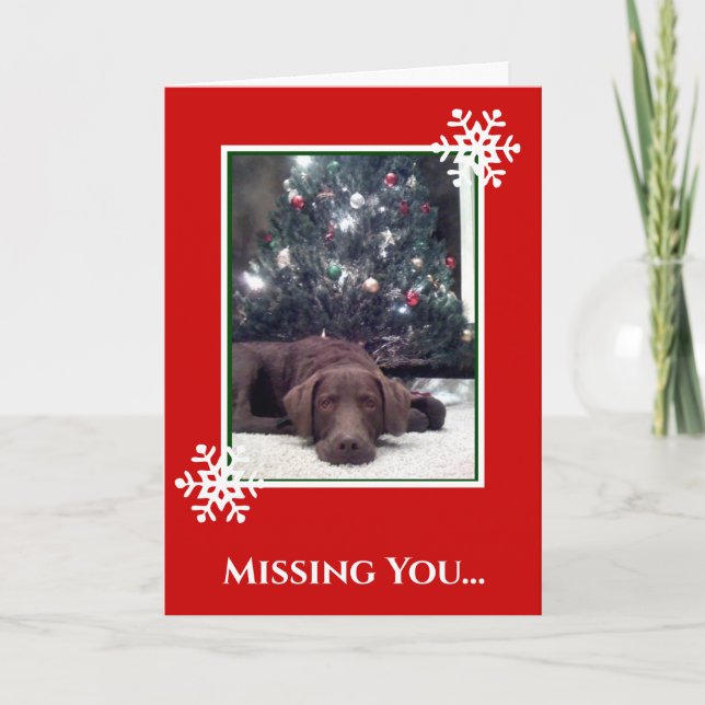 Cartes Pour Fêtes Annuelles Vous Manquez... Noël (Devant)