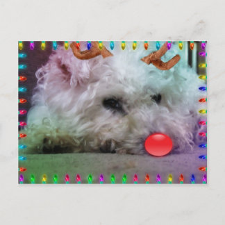 CARTES POUR FÊTES ANNUELLES VOUS SOUHAITANT JOYEUX NOËL