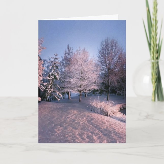 Cartes Pour Fêtes Annuelles Vous souhaitant la paix ce Noël (carte) (Devant)