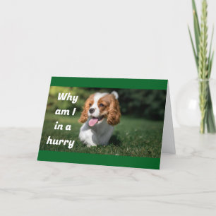 CARTES POUR FÊTES ANNUELLES VOUS SOUHAITEZ ÊTRE LE 1ER À DIRE "MERY NOËL"